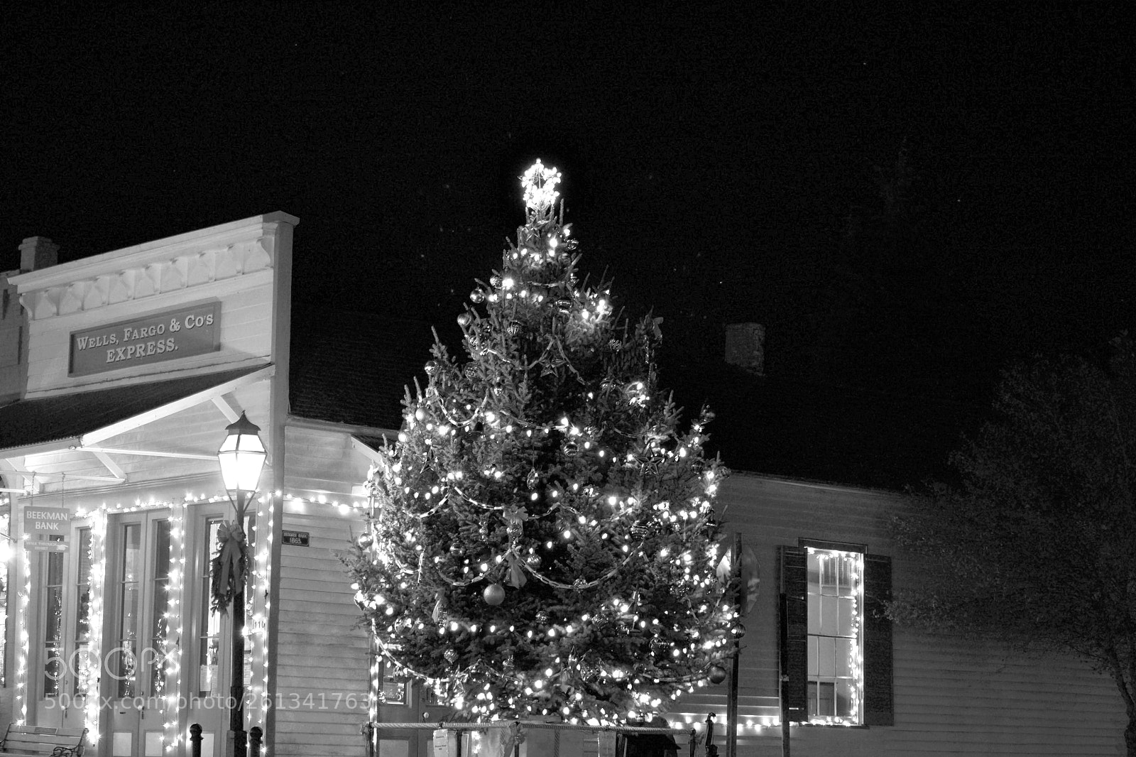 Nikon D3300 sample photo. X-mas in jacksonville, oregon photography