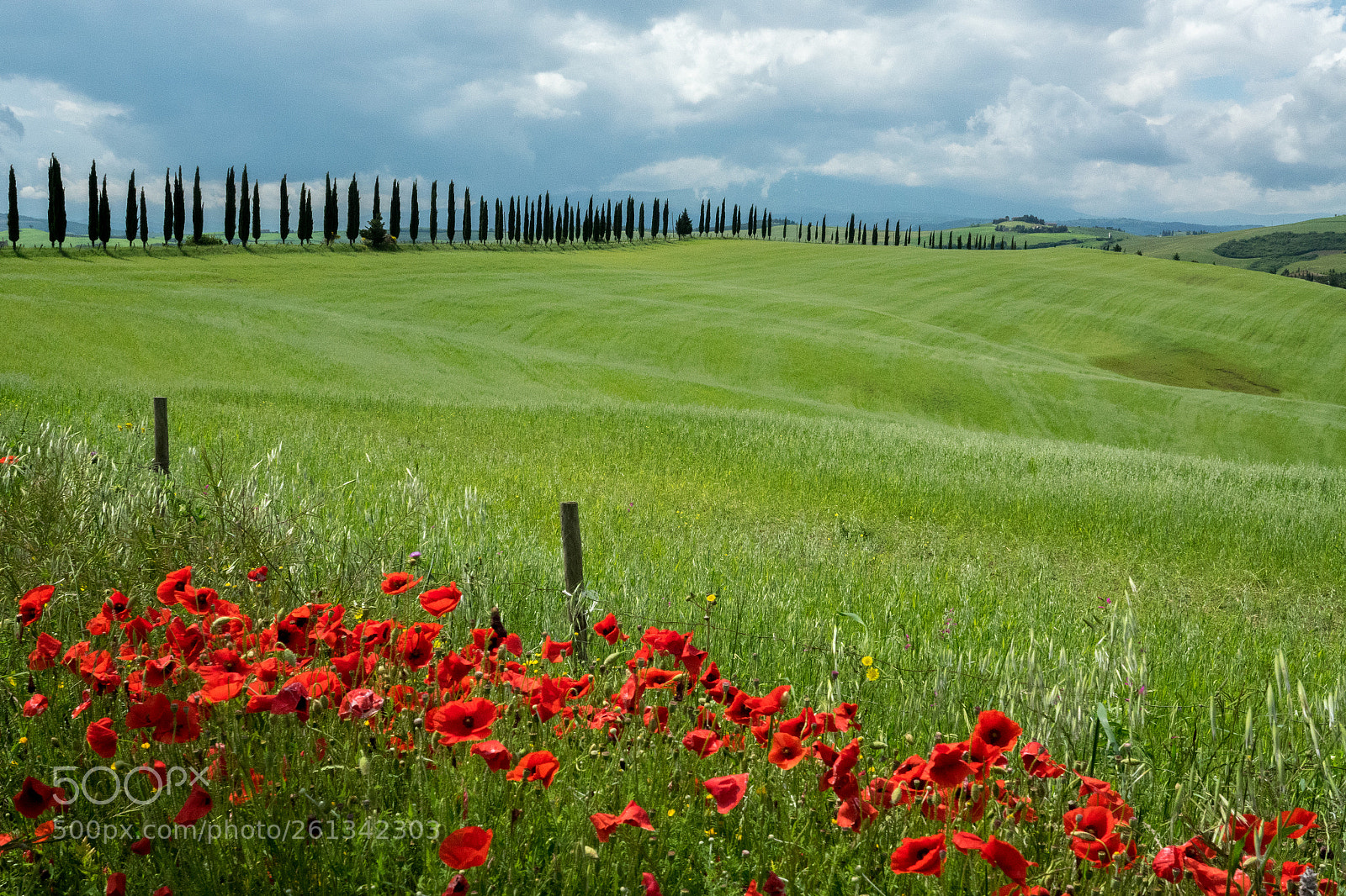 Sony Cyber-shot DSC-RX10 III sample photo. Toskana. pienza, italy photography