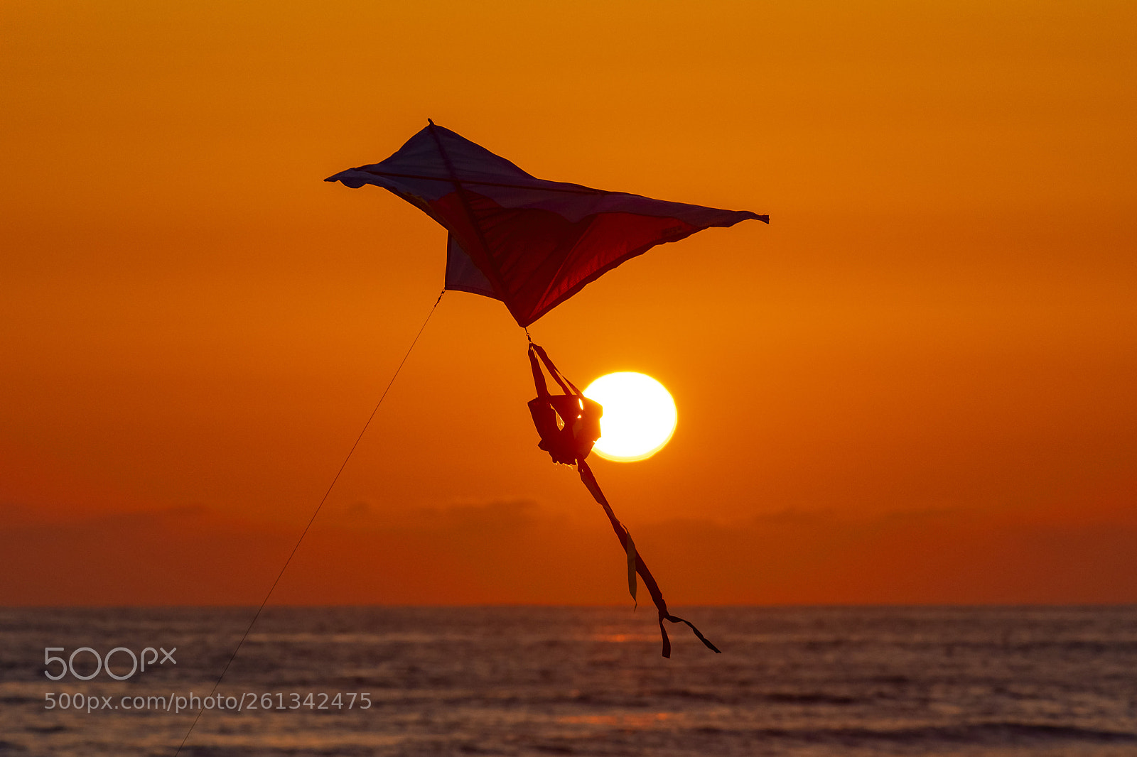 Nikon D500 sample photo. Kite flying at sunset photography