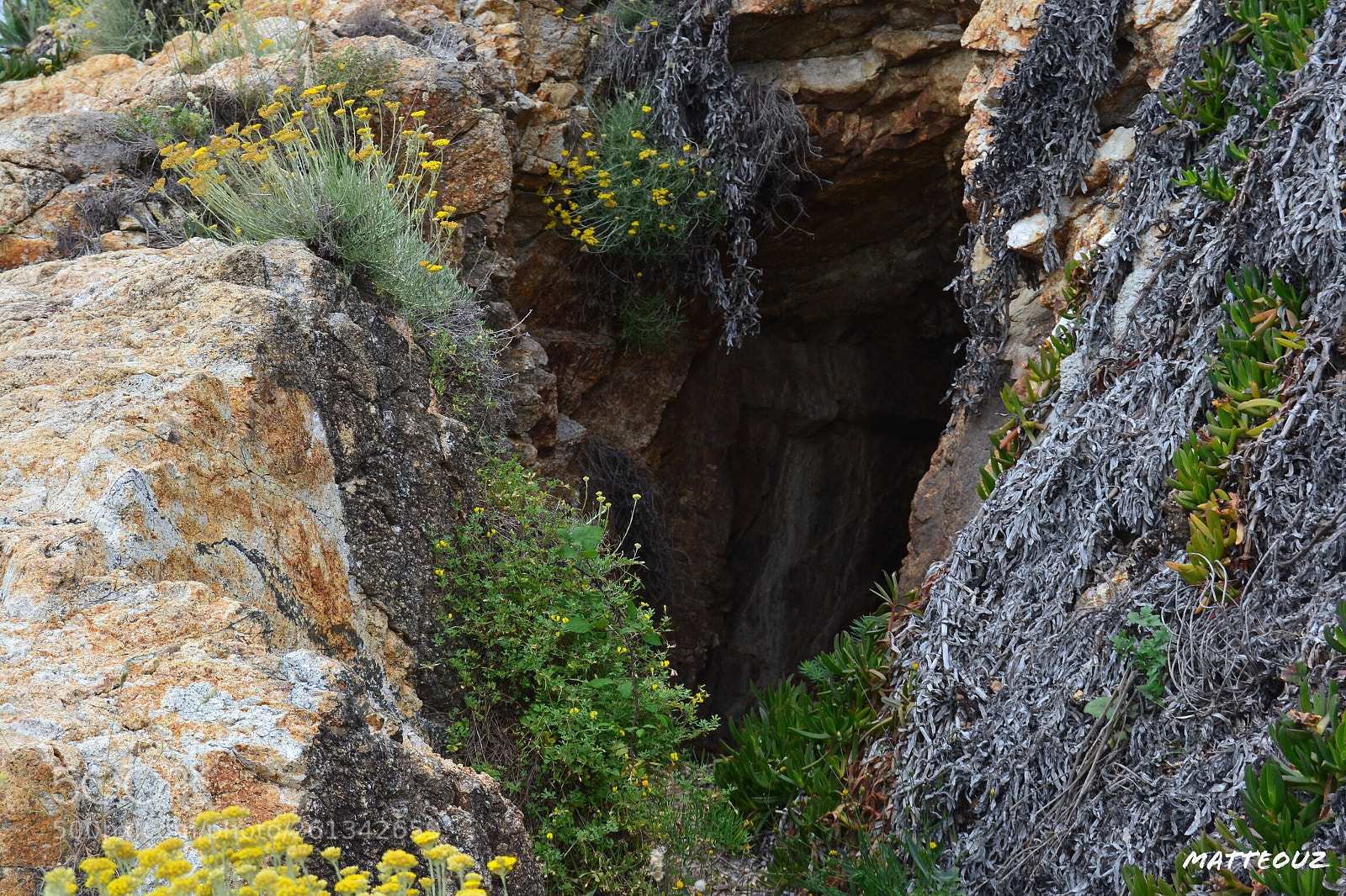 Nikon D3100 sample photo. Where will it leads? photography