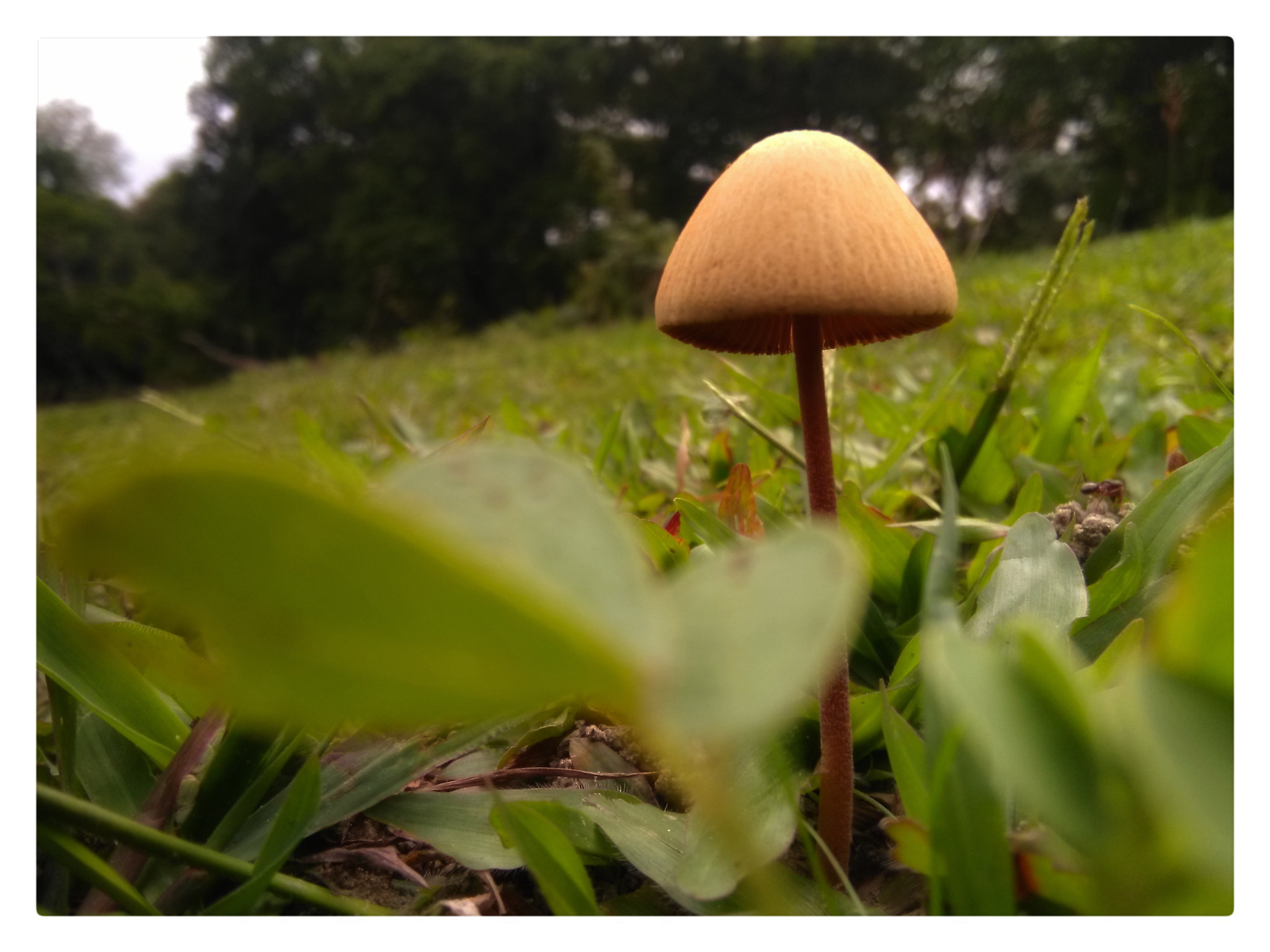 HMD Global Nokia 2 sample photo