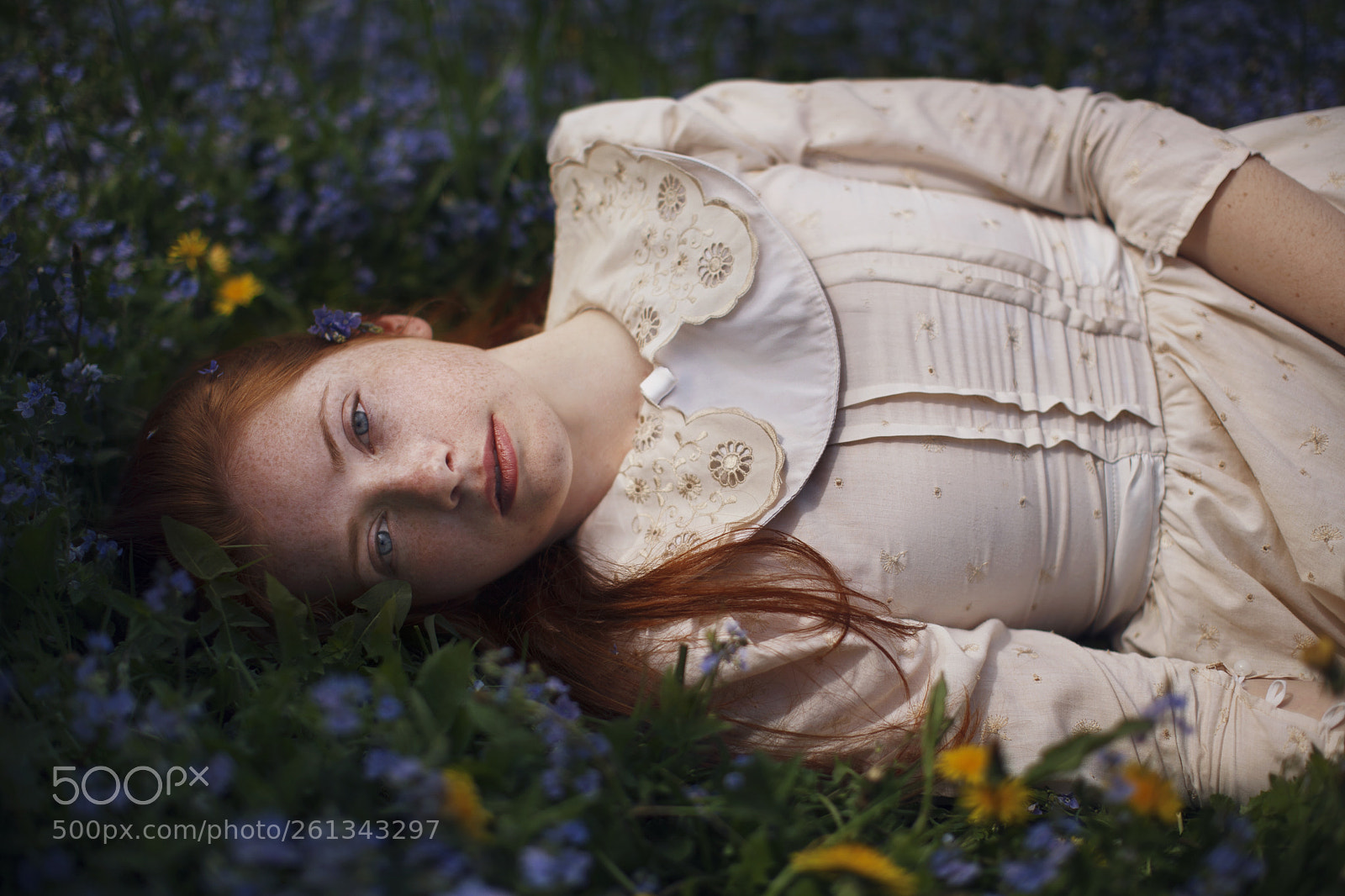 Canon EOS 5D Mark II sample photo. Untitled photography