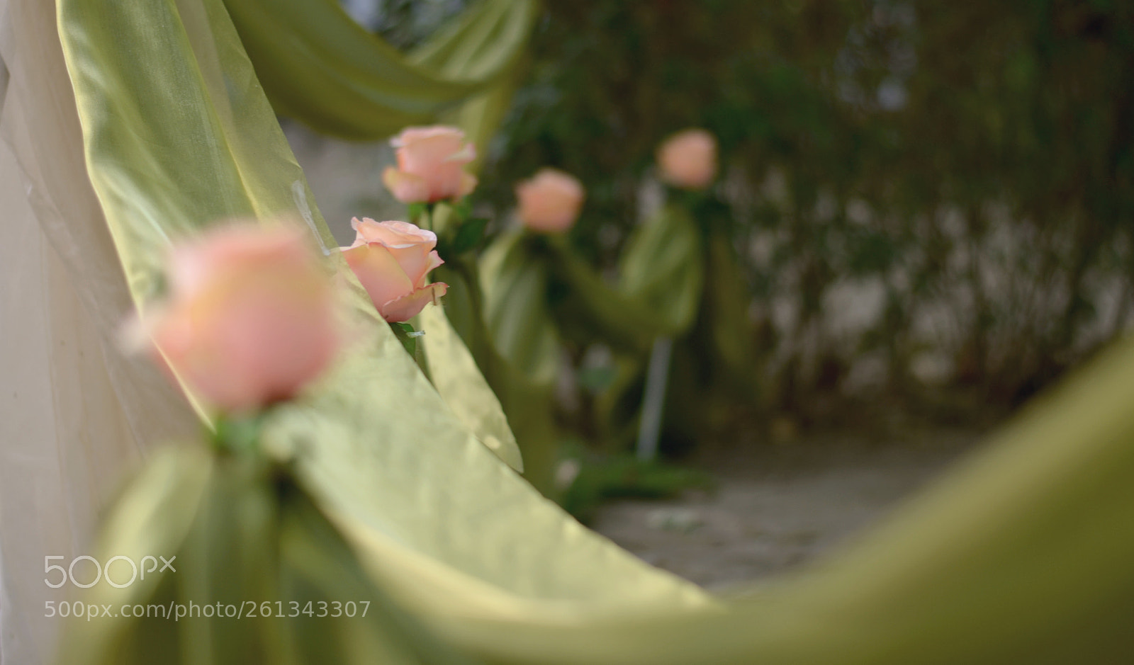 Nikon D5100 sample photo. Walk of roses photography