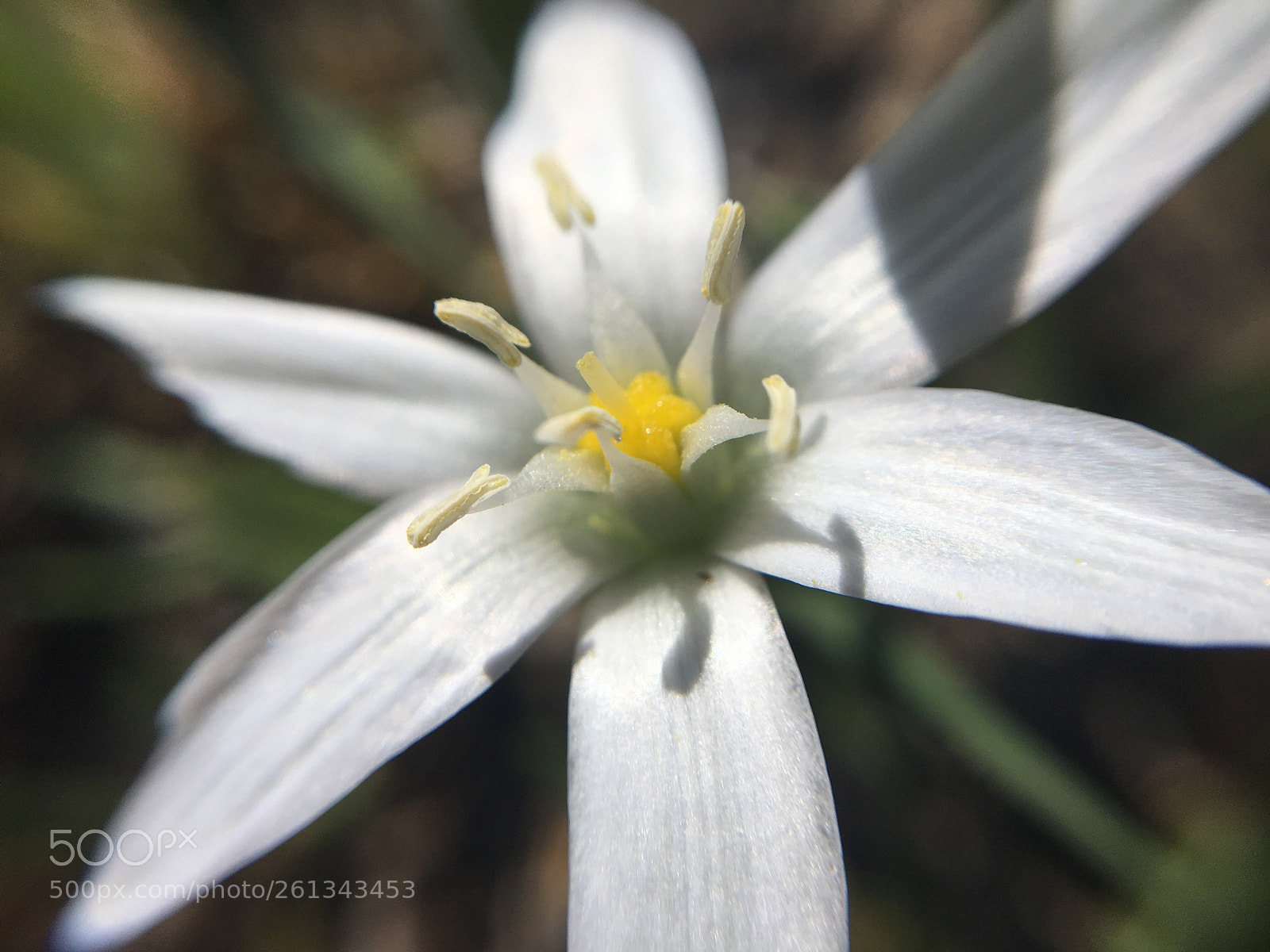 Apple iPhone 6s Plus sample photo. Untitled photography
