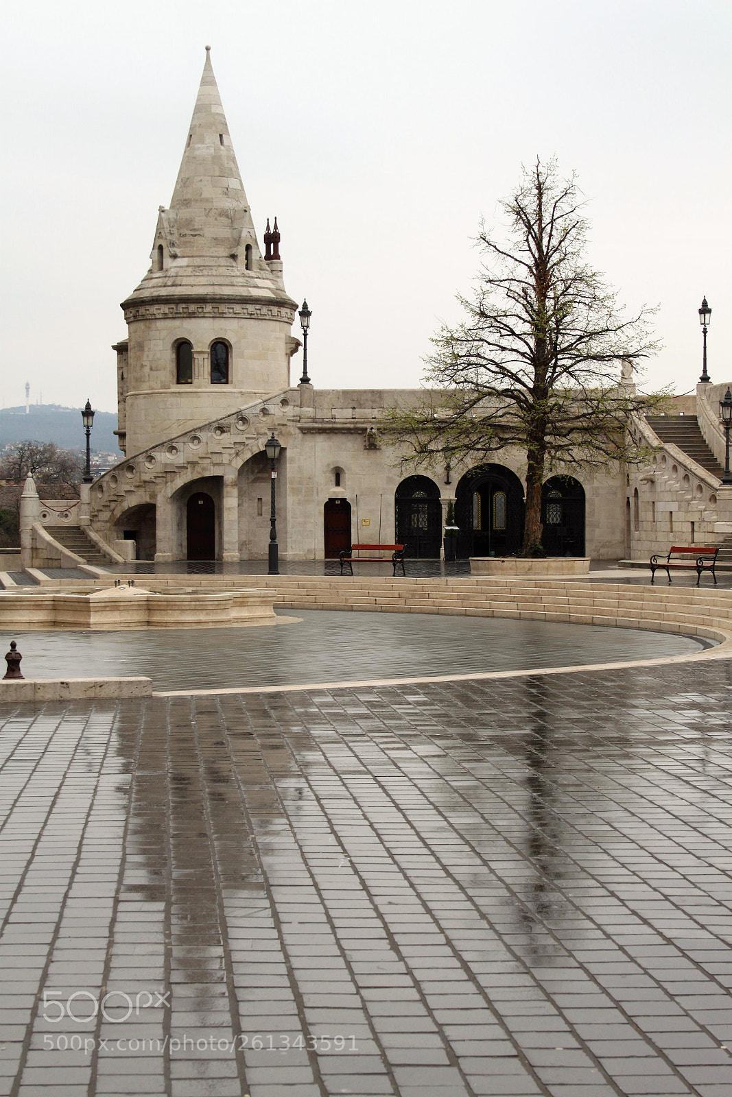 Canon EOS 500D (EOS Rebel T1i / EOS Kiss X3) sample photo. () photography