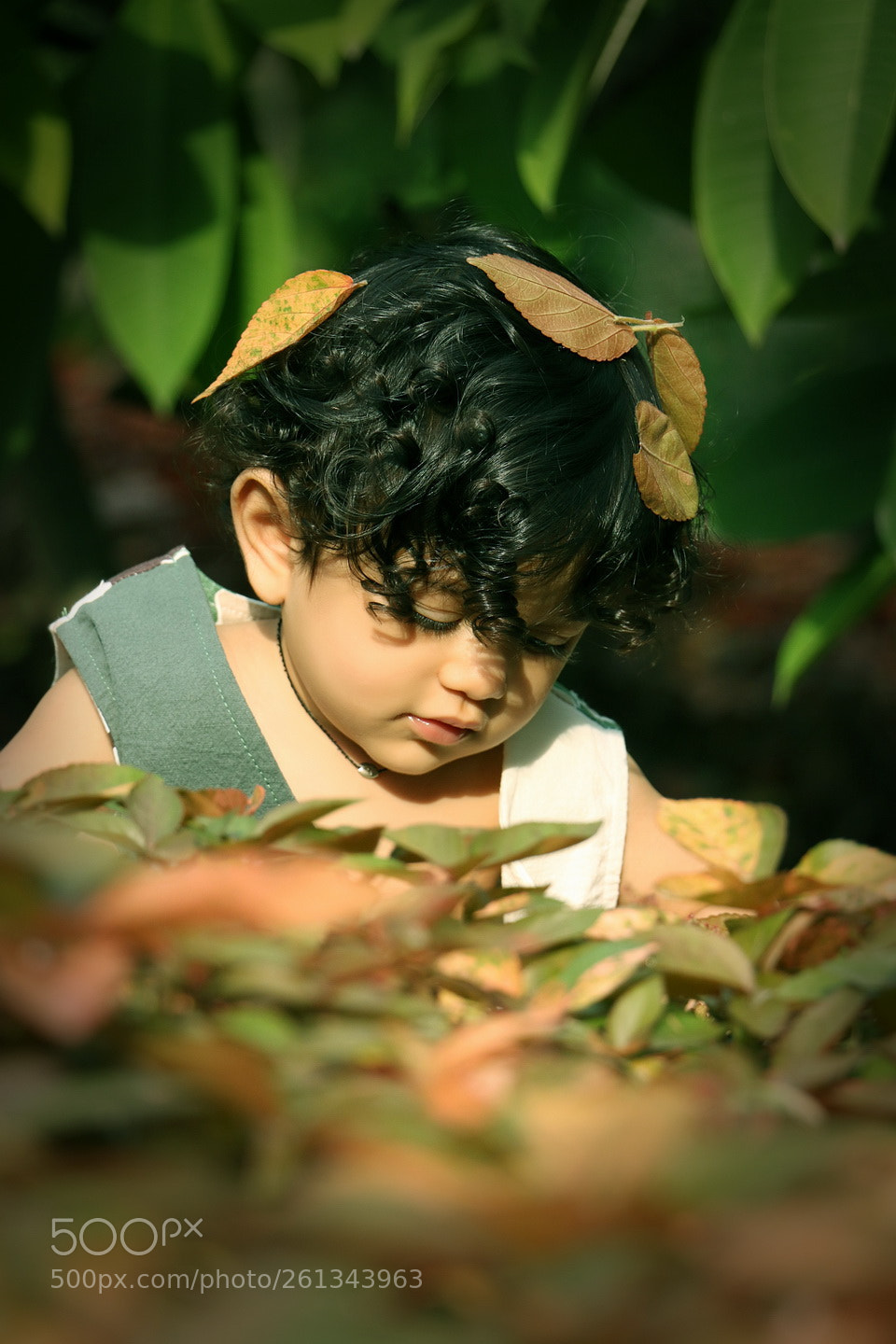 Canon EOS 70D sample photo. Img photography