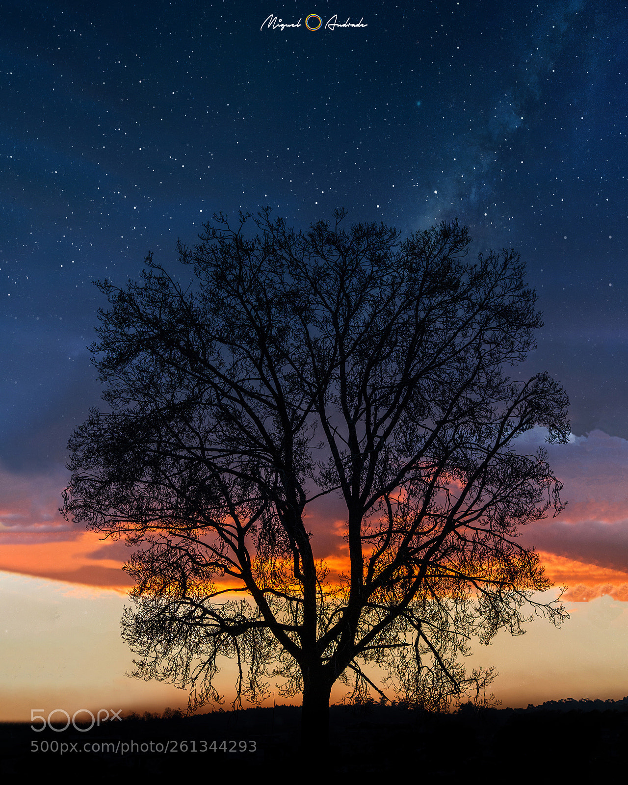 Canon EOS 100D (EOS Rebel SL1 / EOS Kiss X7) sample photo. Milky way with tree photography