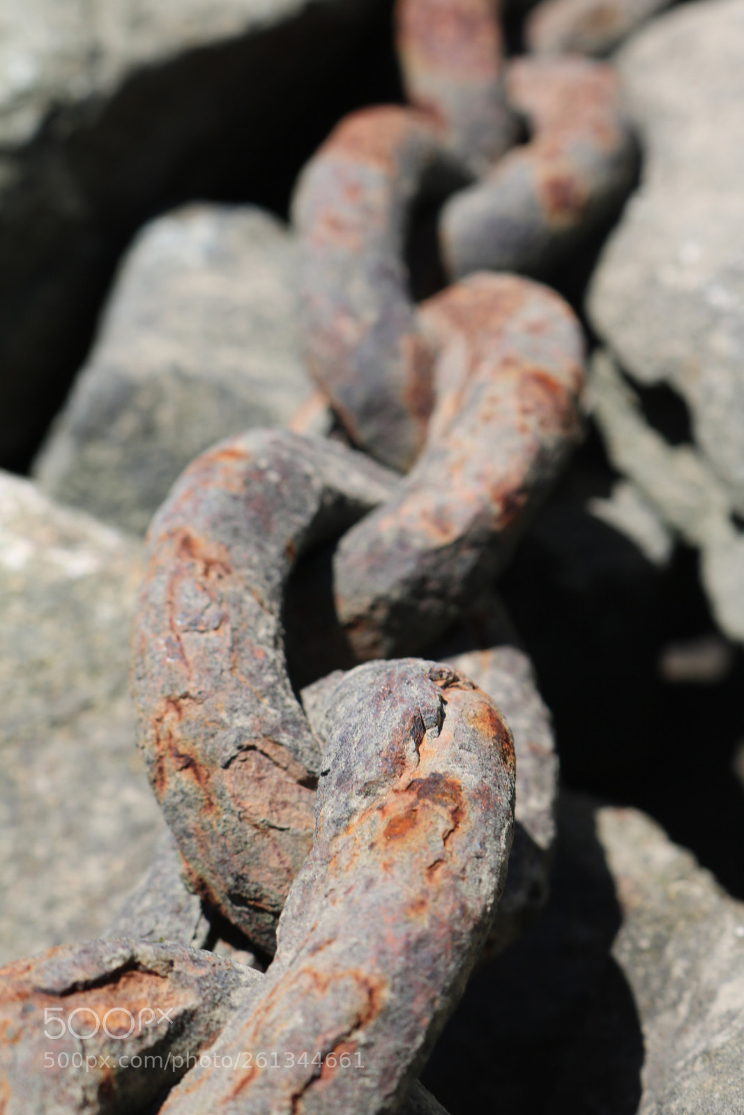 Canon EOS 750D (EOS Rebel T6i / EOS Kiss X8i) sample photo. Rusty chain  photography