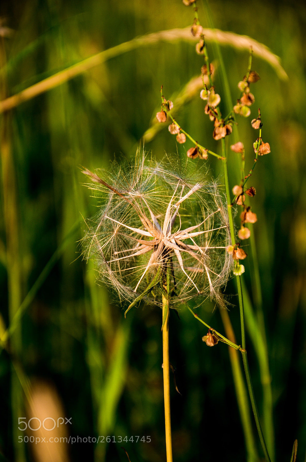 Nikon D7000 sample photo. Wheel photography