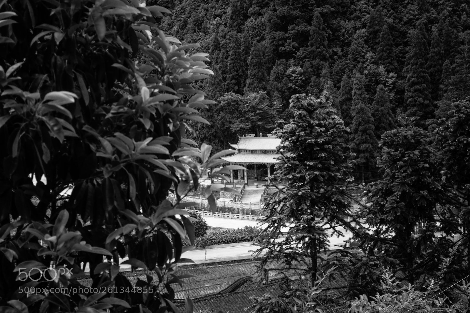 Nikon D5200 sample photo. Untitled photography