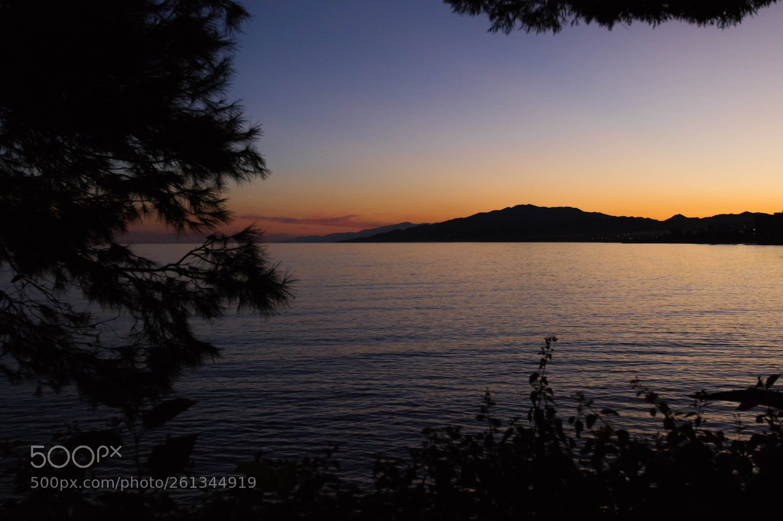 Canon EOS 77D (EOS 9000D / EOS 770D) sample photo. Img photography