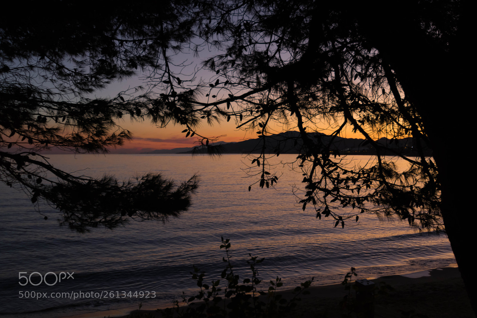 Canon EOS 77D (EOS 9000D / EOS 770D) sample photo. Img photography
