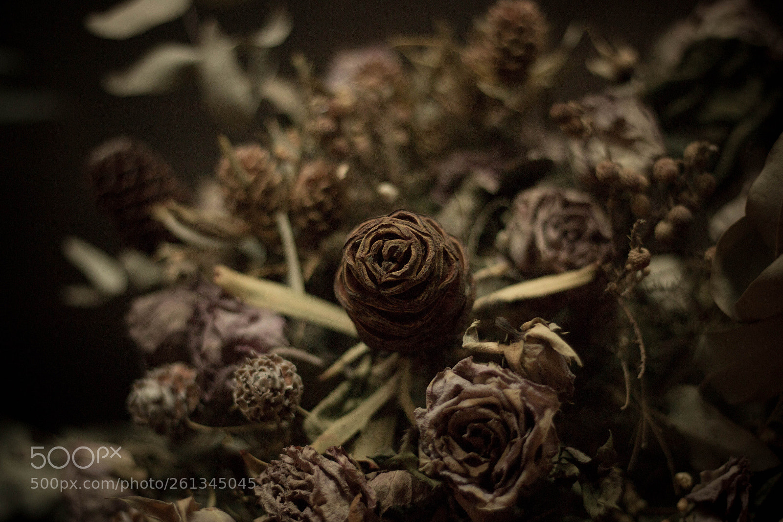 Canon EOS 70D sample photo. Untitled photography