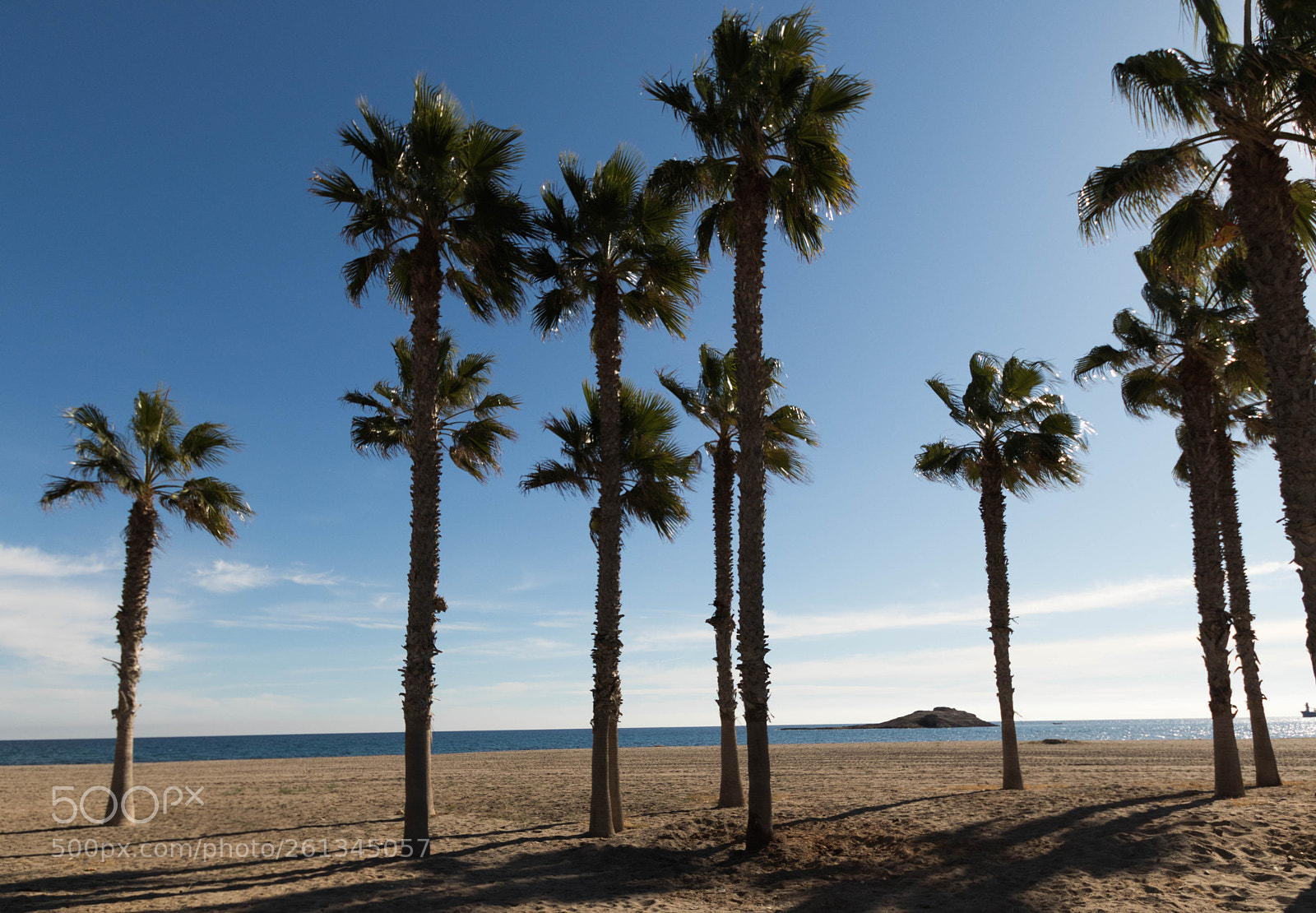 Canon EOS 77D (EOS 9000D / EOS 770D) sample photo. Img photography