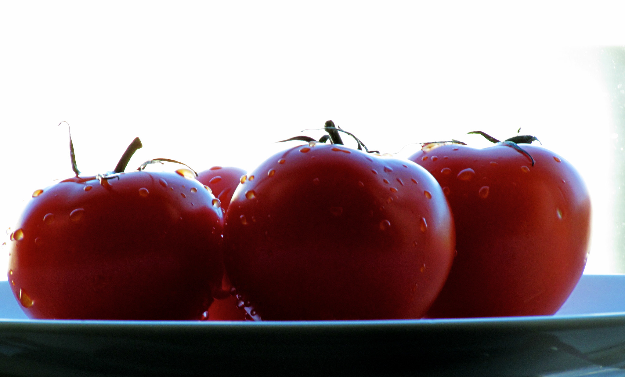 4.3 - 150.5 mm sample photo. Reds and whites photography