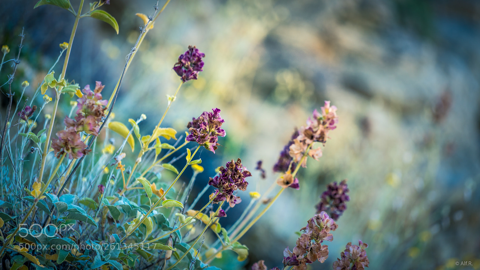 Sony a7R II sample photo. Greece, impression 4 photography