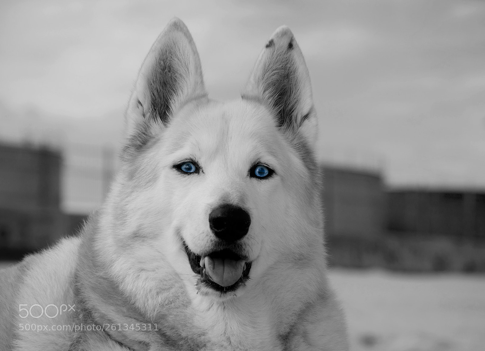 Nikon D5100 sample photo. Untitled photography