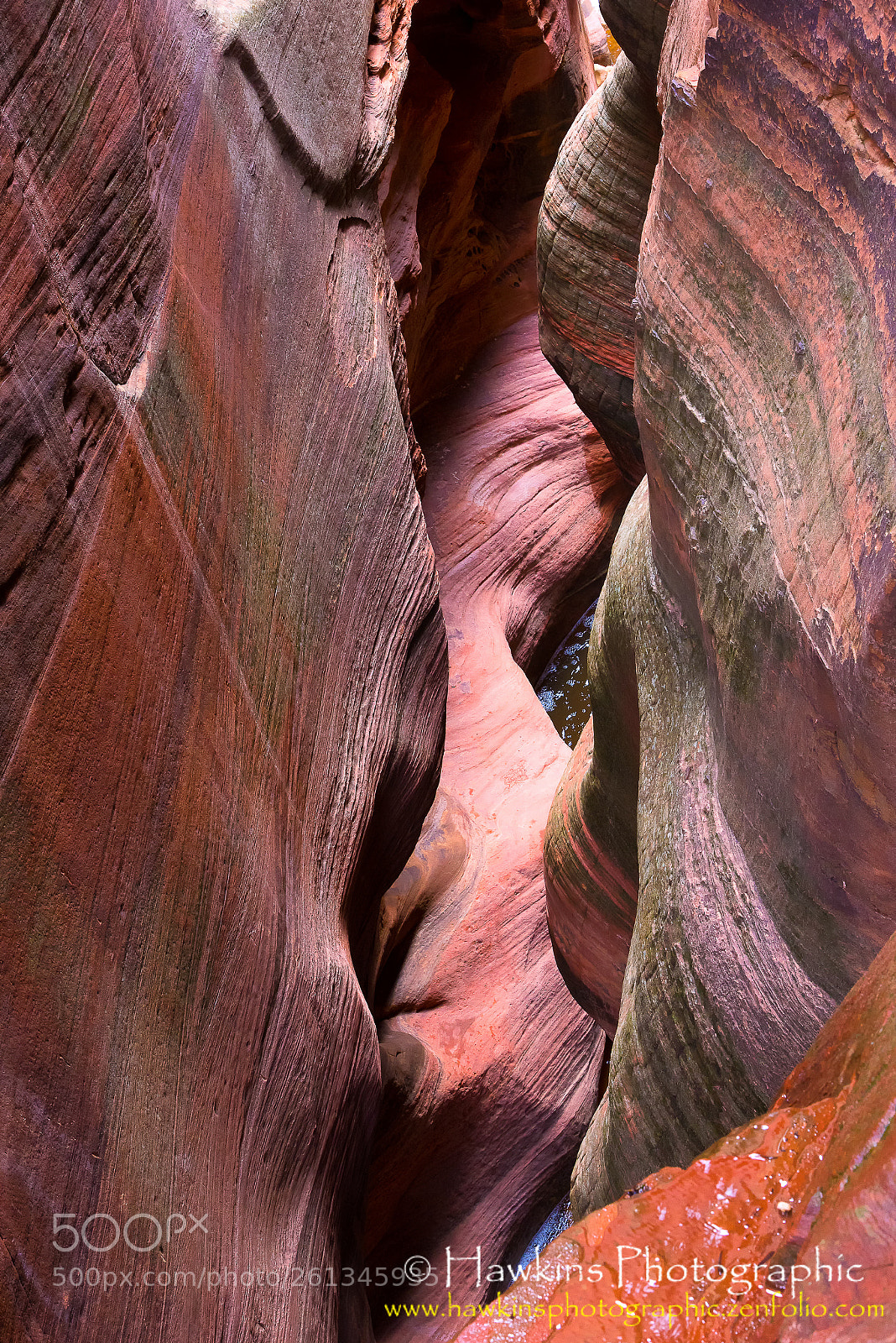 Nikon D750 sample photo. Zion canyon photography