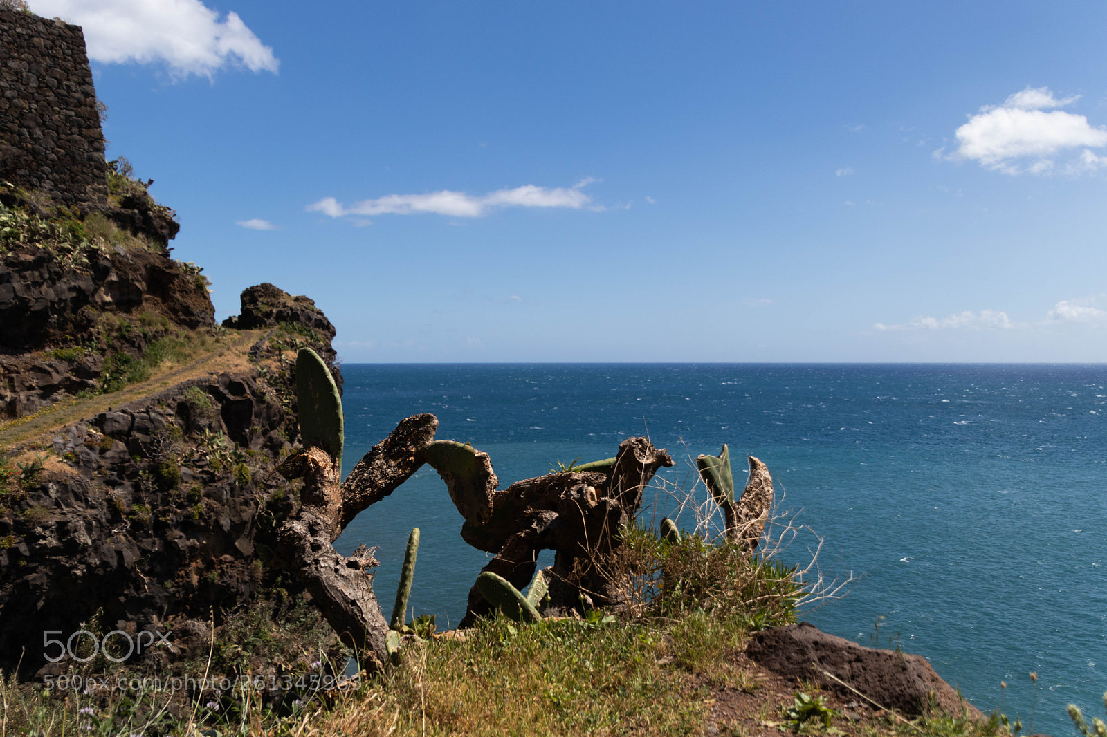 Canon EOS 77D (EOS 9000D / EOS 770D) sample photo. Copie photography