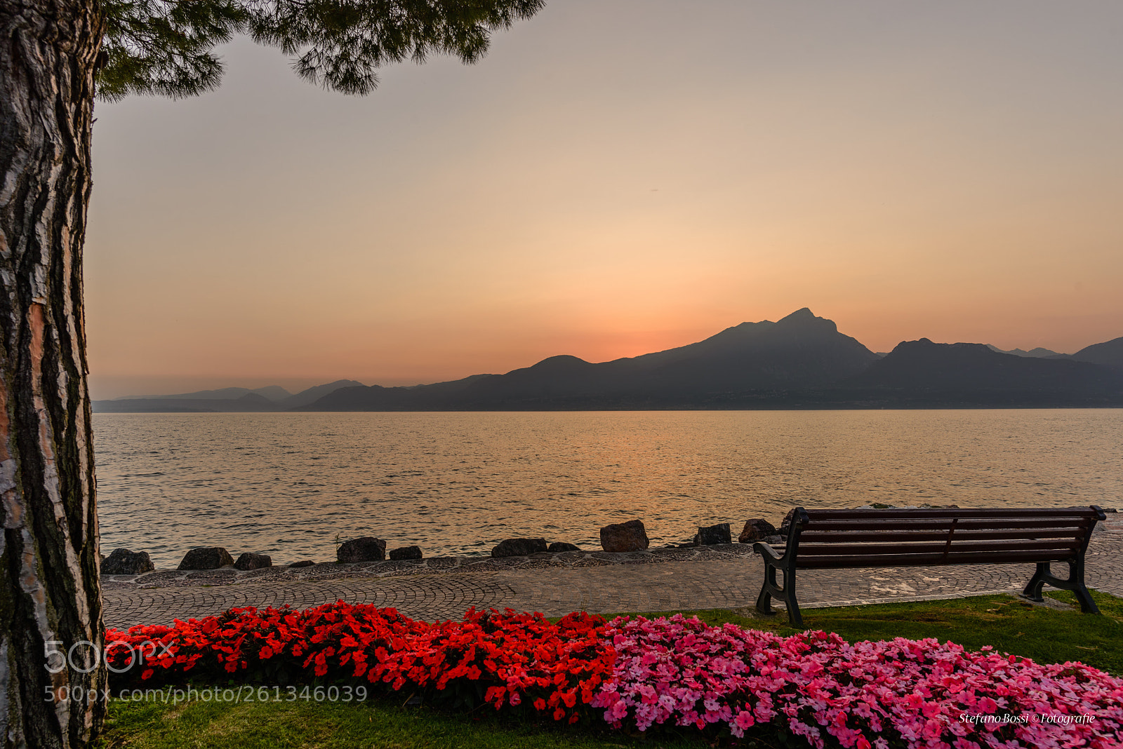 Nikon D610 sample photo. Sunset photography