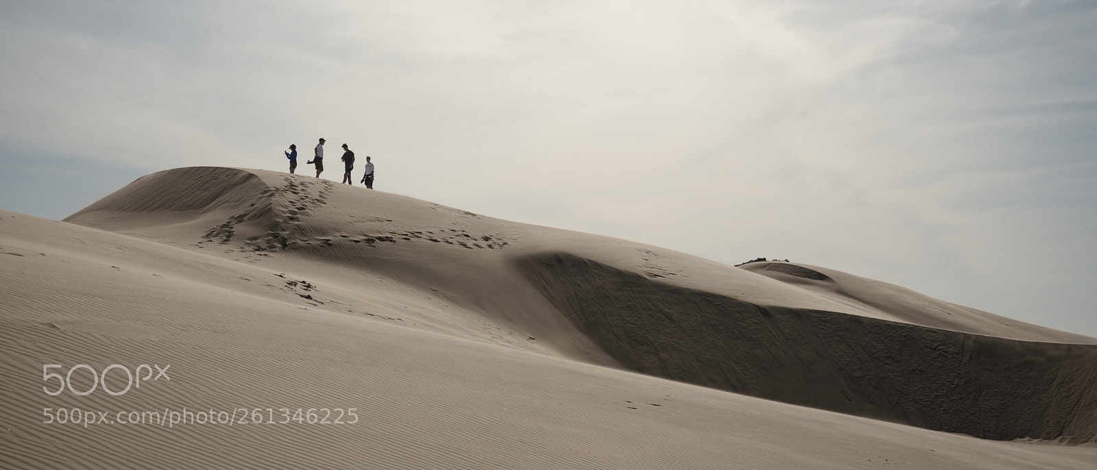 Nikon D800 sample photo. Oceano dunes photography