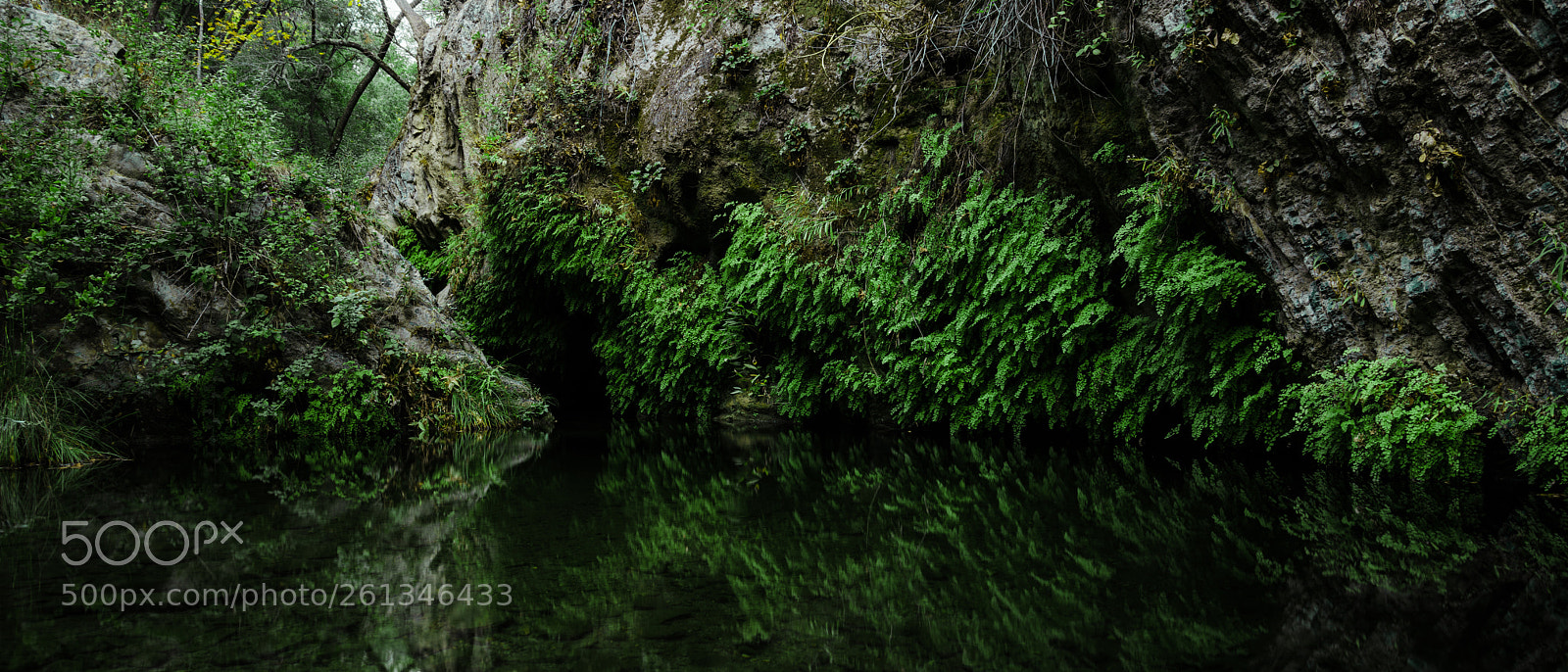 Nikon D800 sample photo. Pool at big falls photography