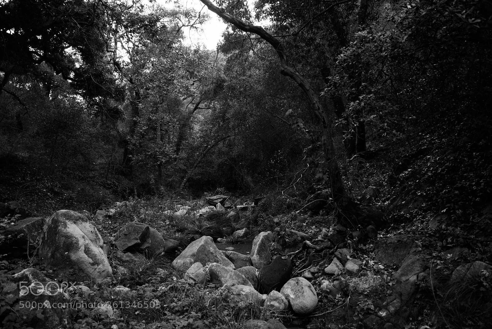 Nikon D800 sample photo. Big falls canyon floor photography