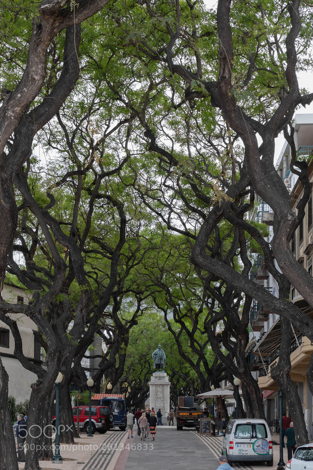 Canon EOS 77D (EOS 9000D / EOS 770D) sample photo. Img photography