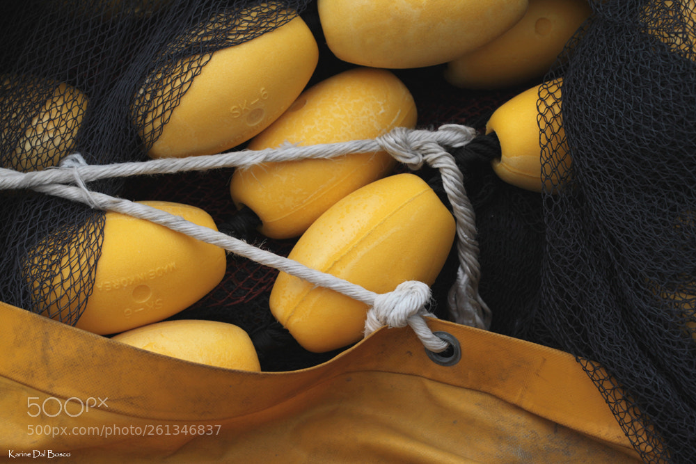Canon EOS 5D Mark II sample photo. Ready for some fishing photography