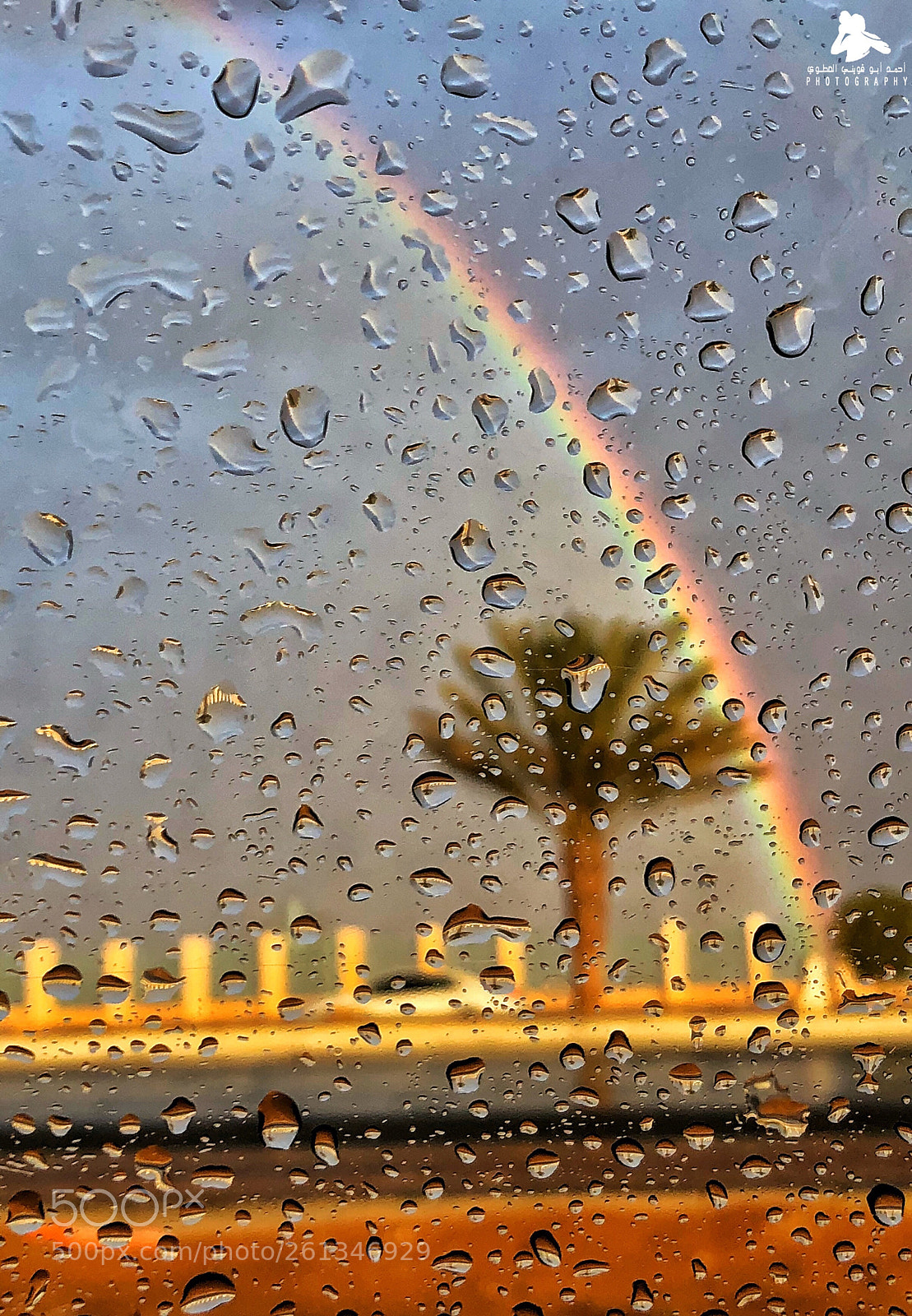 Apple iPhone X sample photo. Untitled photography