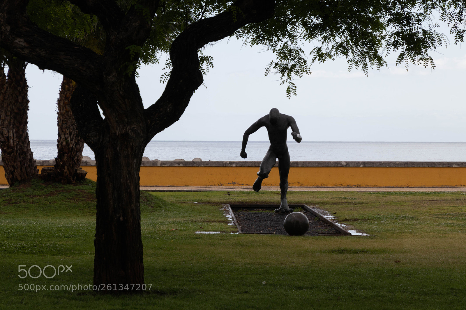 Canon EOS 77D (EOS 9000D / EOS 770D) sample photo. Img photography