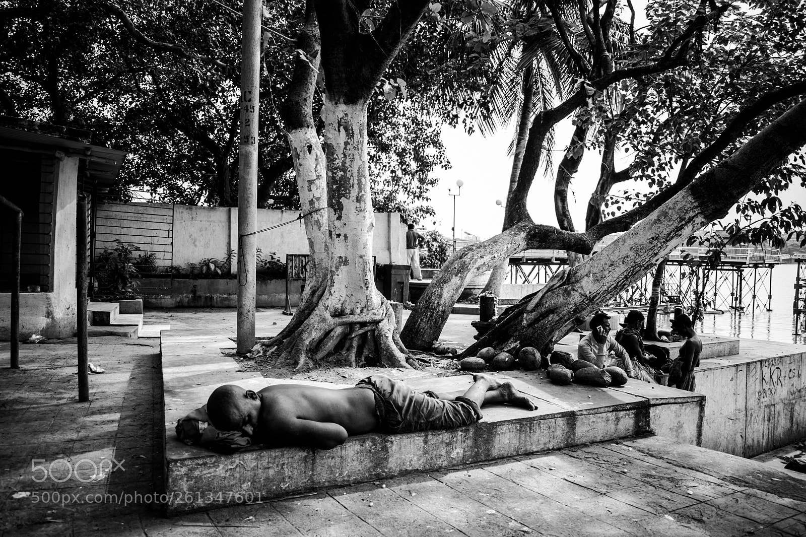 Nikon D3300 sample photo. A lazy afternoon photography