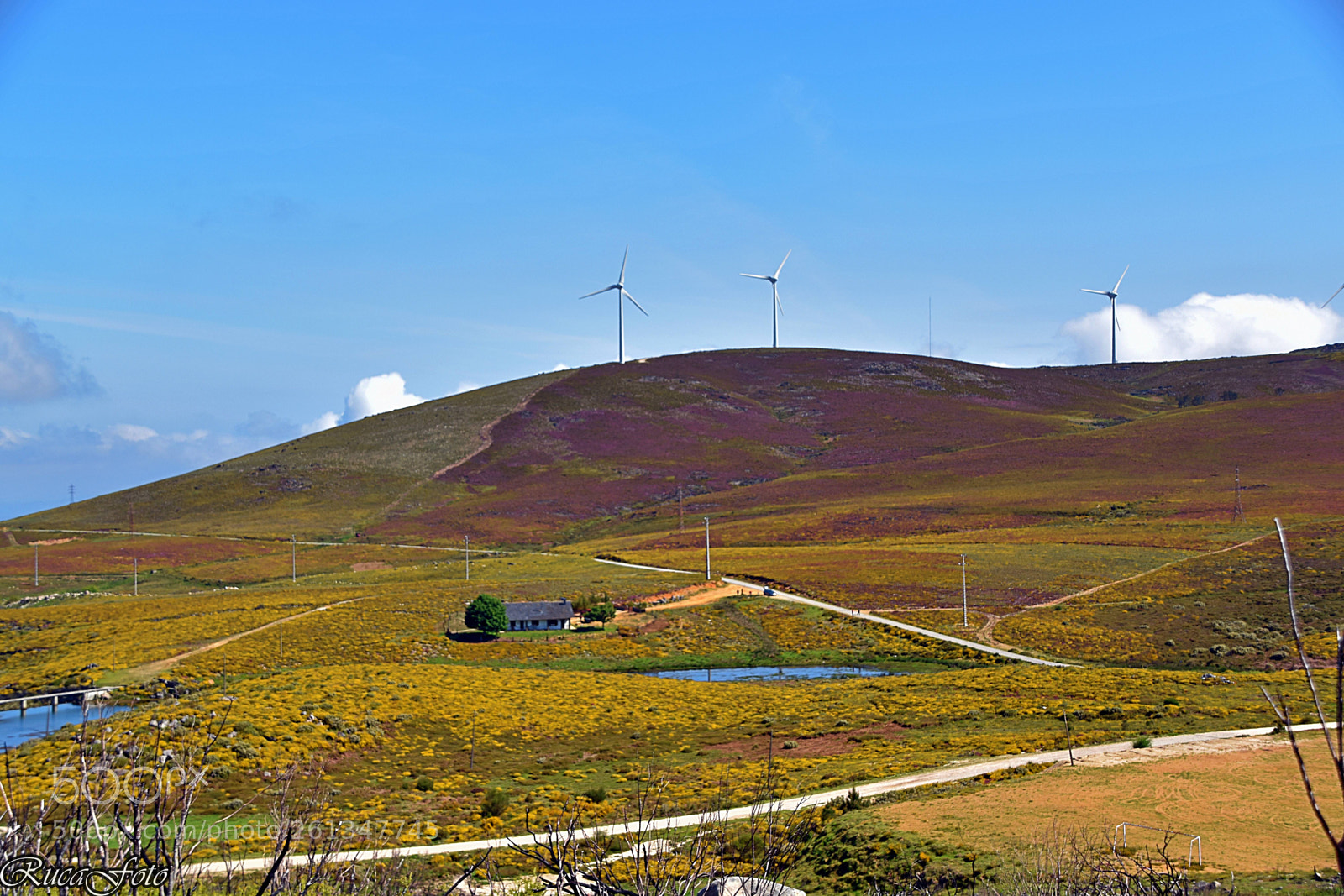 Nikon D5500 sample photo. Serra da freita photography