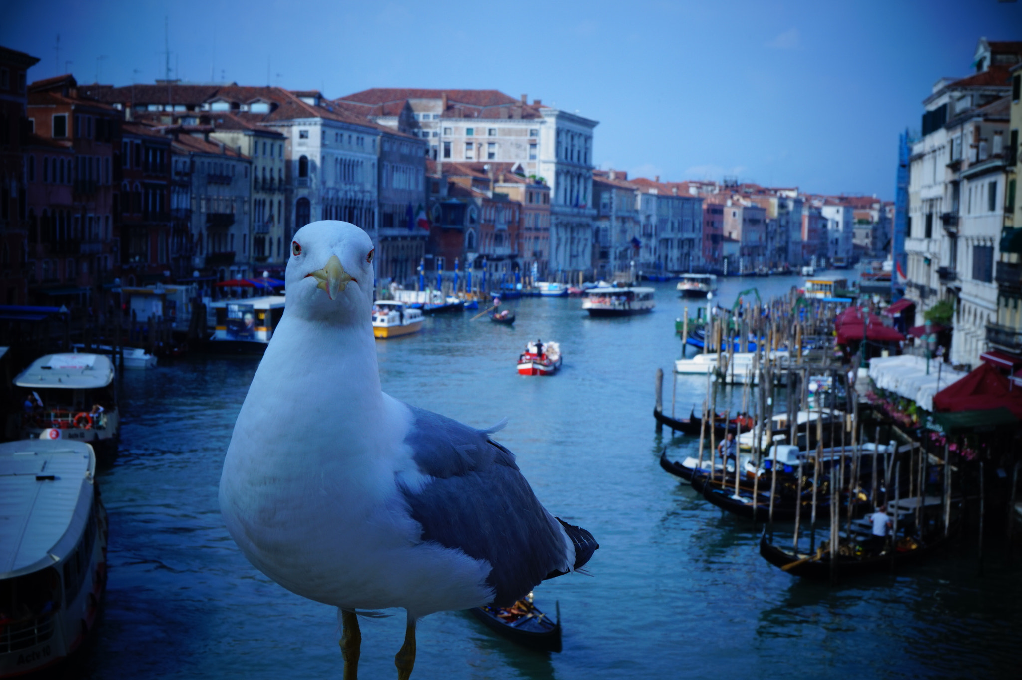 Sony Alpha a5000 (ILCE 5000) sample photo. Venezia photography
