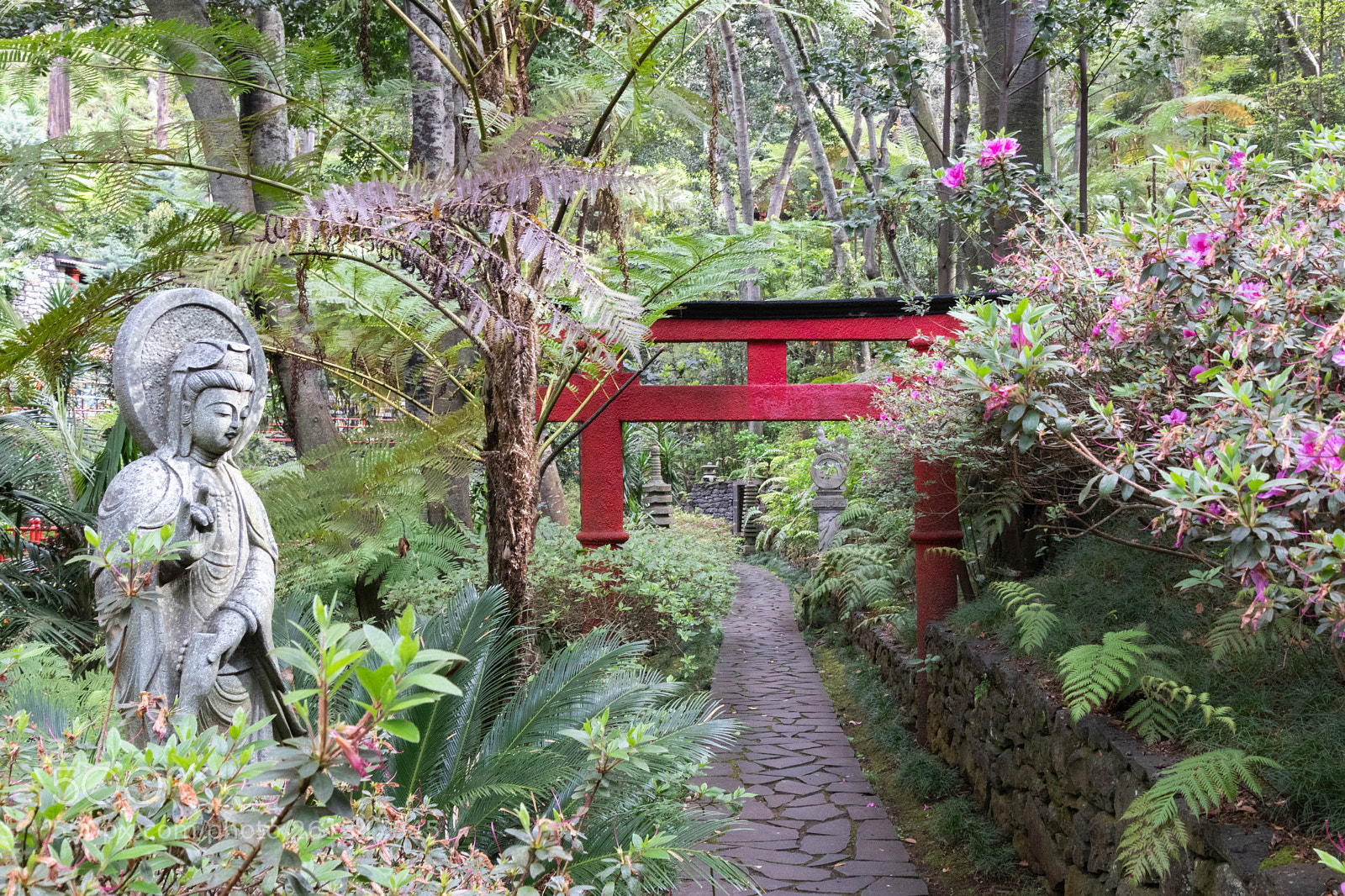 Canon EOS 77D (EOS 9000D / EOS 770D) sample photo. Img photography