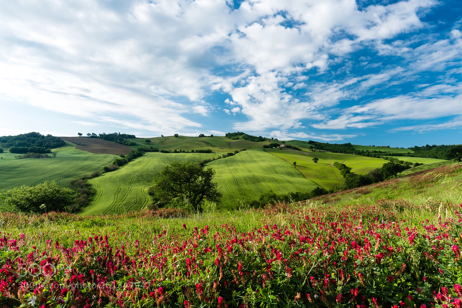 Nikon D750 sample photo. Verdeggianti marche photography