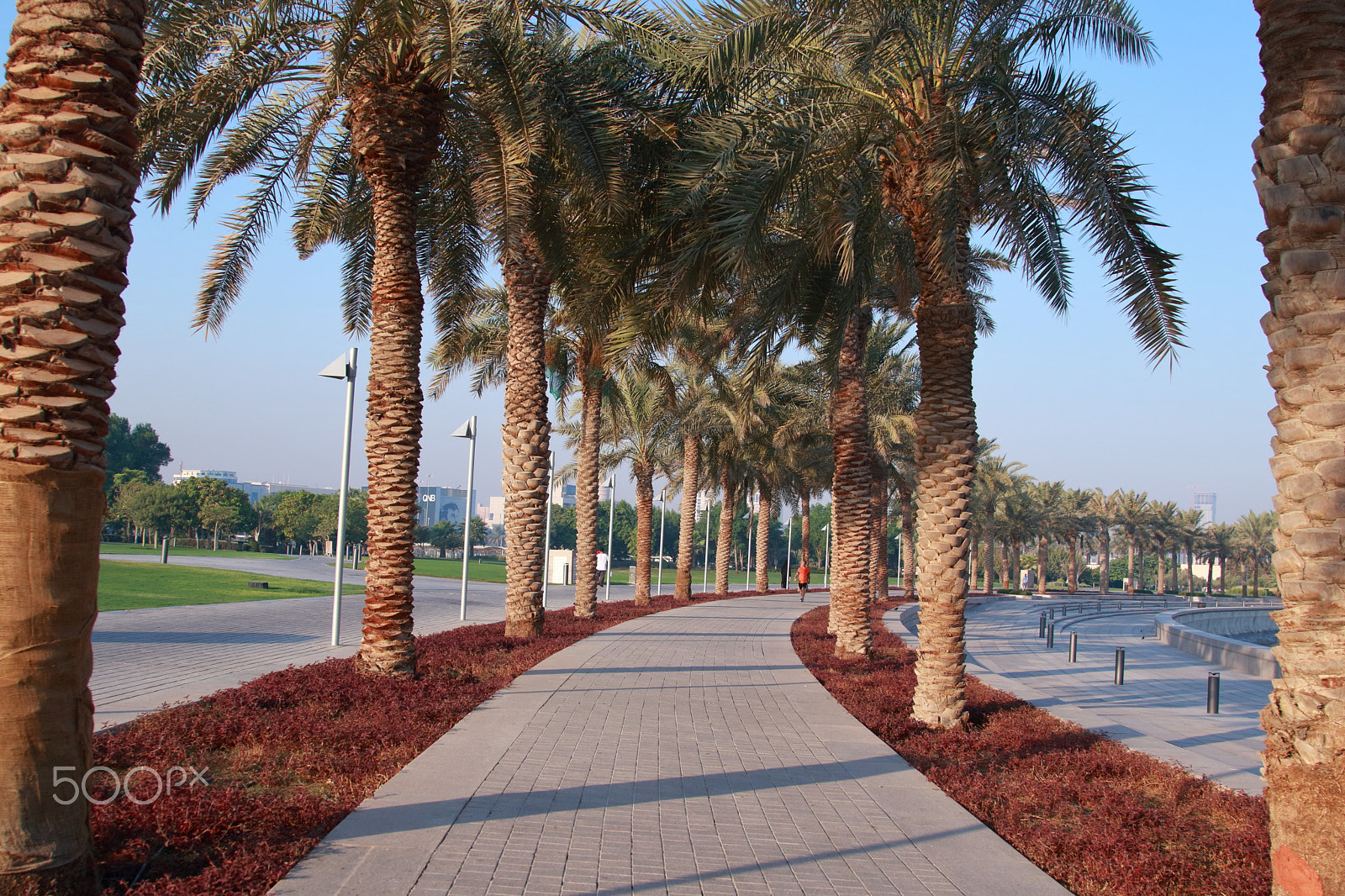 Canon EOS 80D + Canon EF 24-105mm F4L IS USM sample photo. Museum of islamic arts park photography