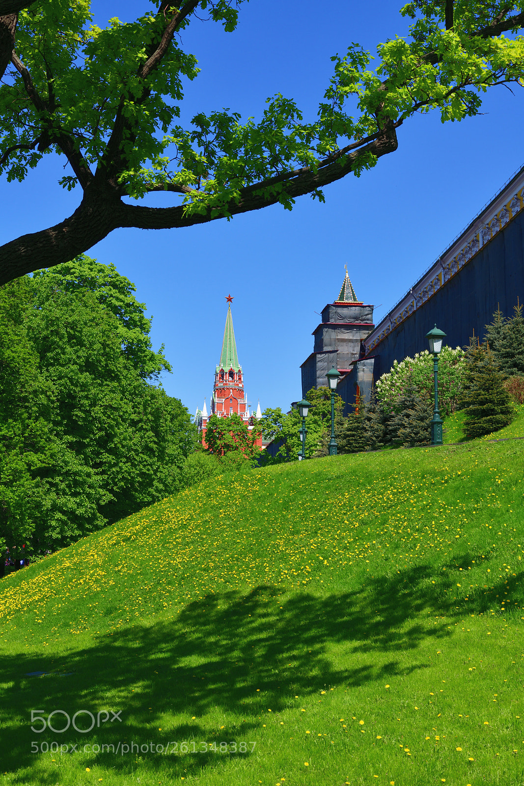 Nikon D850 sample photo. Moscow, russia - view photography