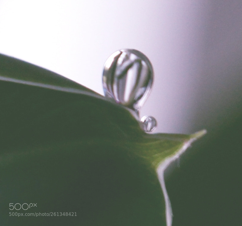 Canon EOS 650D (EOS Rebel T4i / EOS Kiss X6i) sample photo. Waterdrop photography