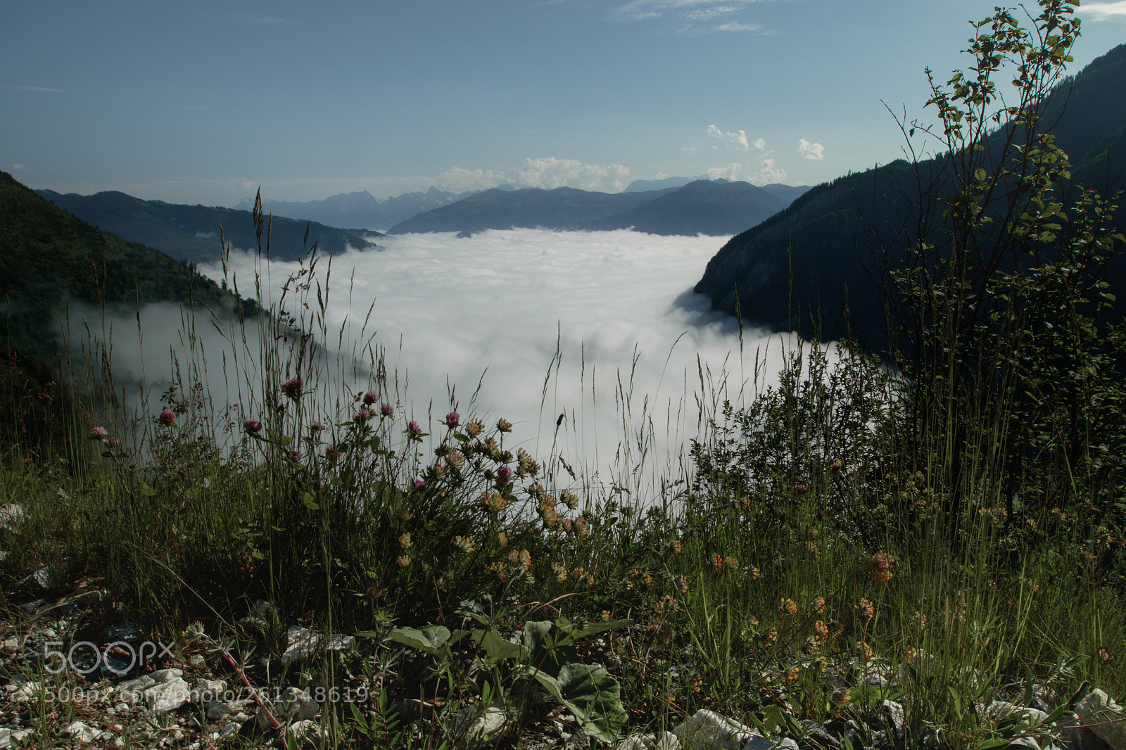 Canon EOS 7D Mark II sample photo. Above the sea of photography