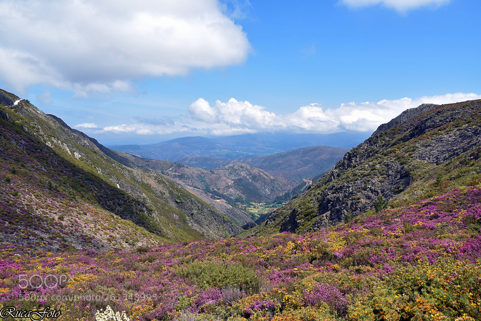 Nikon D5500 sample photo. Serra da freita photography