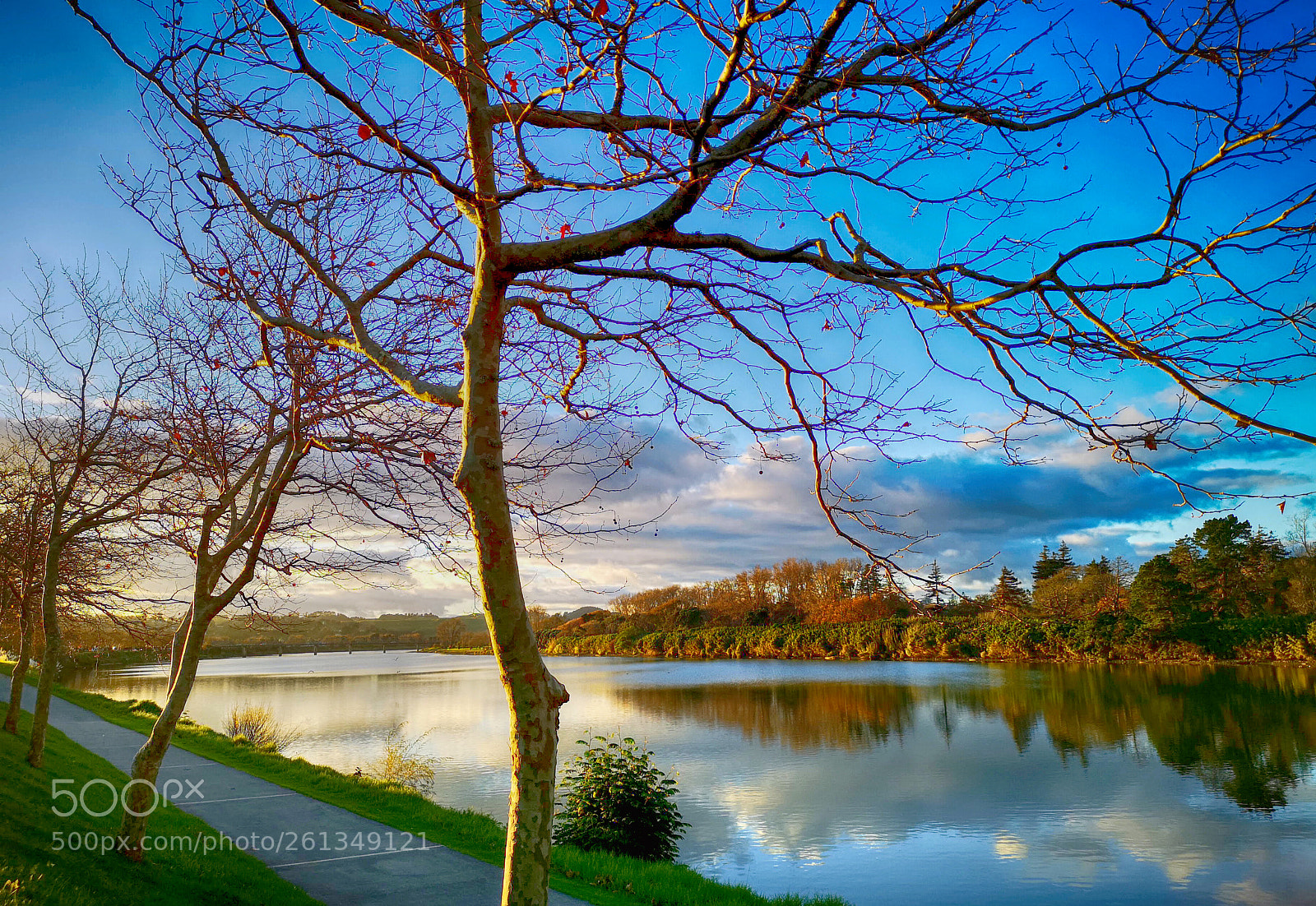 HUAWEI CLT-L09 sample photo. Winter riverview photography
