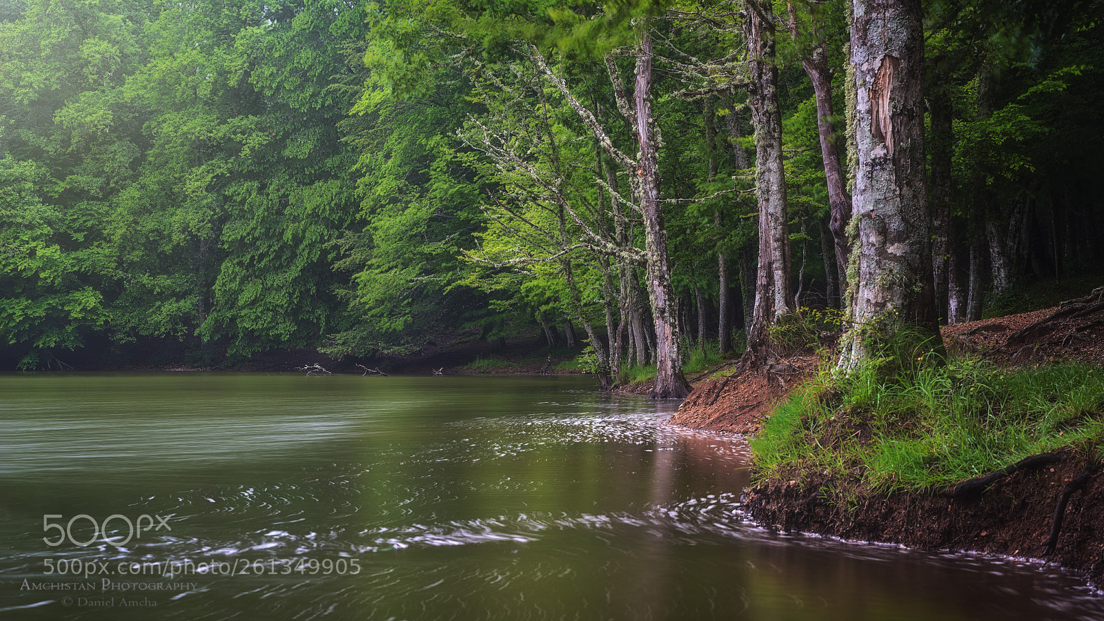 Pentax K-1 sample photo. Laghetto d'umbra photography