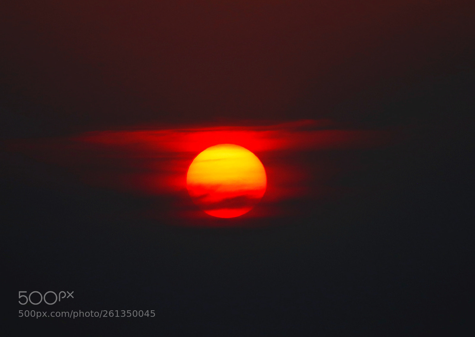 Canon EOS 77D (EOS 9000D / EOS 770D) sample photo. Untitled photography