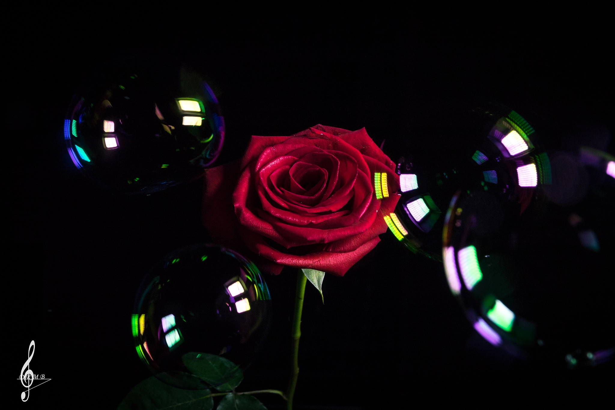 Sony Cyber-shot DSC-RX10 II sample photo. Little dreams. photography