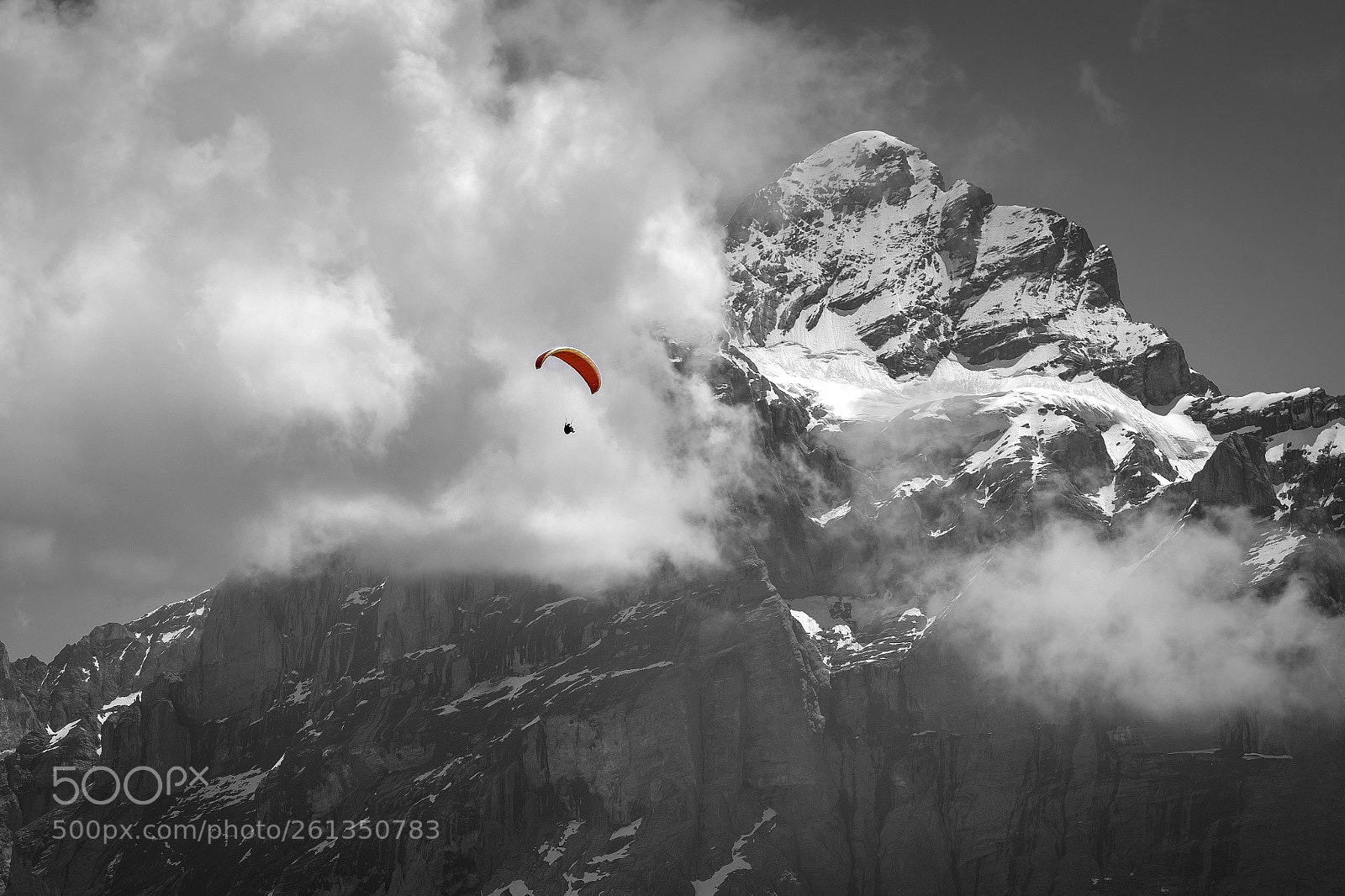 Fujifilm X-T1 sample photo. Gliding to safety photography