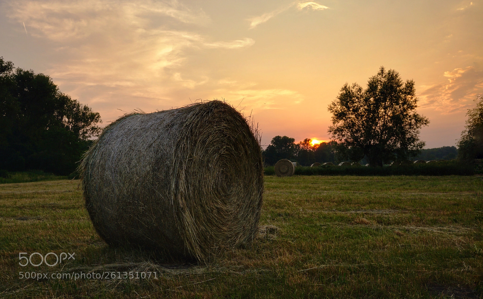 Sony a6000 sample photo. Sunset  photography