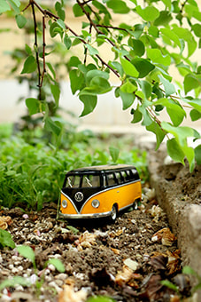 Canon EOS 70D sample photo. Img photography