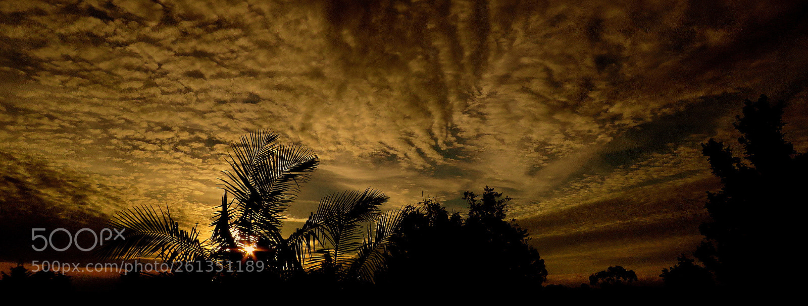 Canon PowerShot SX60 HS sample photo. Sunset .... photography