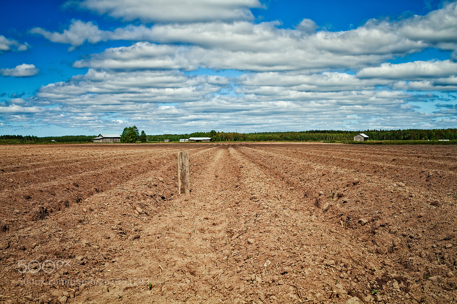 Canon EOS 7D sample photo. Mark on the plowed photography